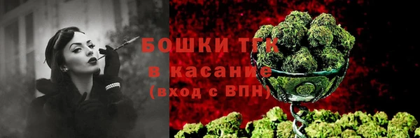 стаф Магадан