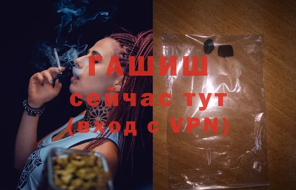 стаф Магадан