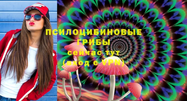 стаф Магадан